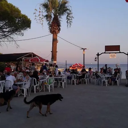 Fiesta Alojamento de Acomodação e Pequeno-almoço Didim